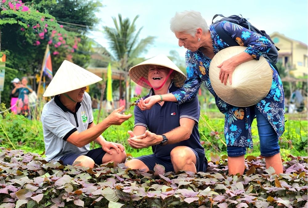 Fresh herbs at Tra Que Vegetable Village, where visitors can pick herbs and learn from local farmers (Source: vietnamnews.vn)