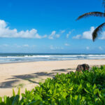 Bliss Hoi An Beach Resort & Wellness, a 5-star beachfront sanctuary blending refined comforts with the area’s natural beauty