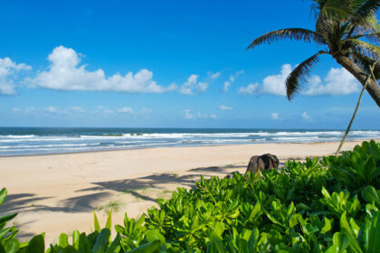 Bliss Hoi An Beach Resort & Wellness, a 5-star beachfront sanctuary blending refined comforts with the area’s natural beauty