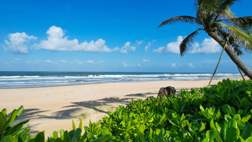 Bliss Hoi An Beach Resort & Wellness, a 5-star beachfront sanctuary blending refined comforts with the area’s natural beauty