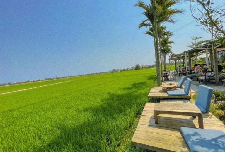 Roving Chillhouse cafe in the rice fields near Hoi An