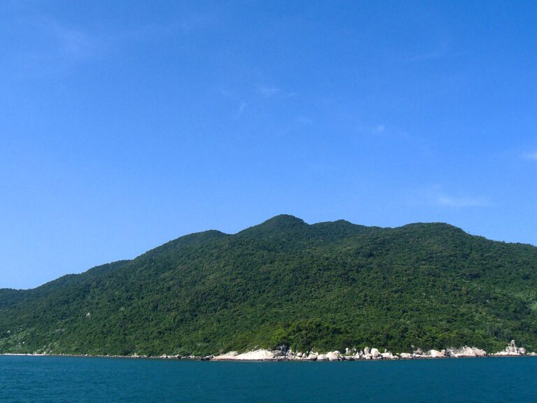 Cu Lao Cham Marine Park
