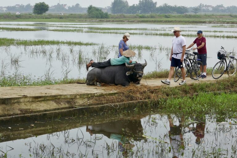 Cycling through Tra Que village, Hoi An