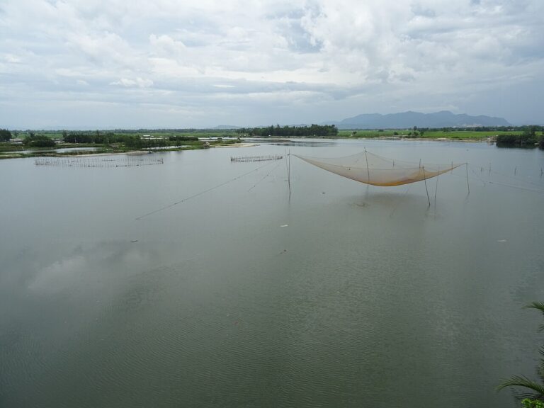 Fishing nets on the Truong Giang River