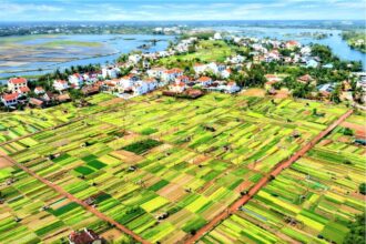 Tra Que Vegetable Village lies in Tra Que Hamlet, Hoi An, Quang Nam Province (Source: Bao Dai Doan Ket)