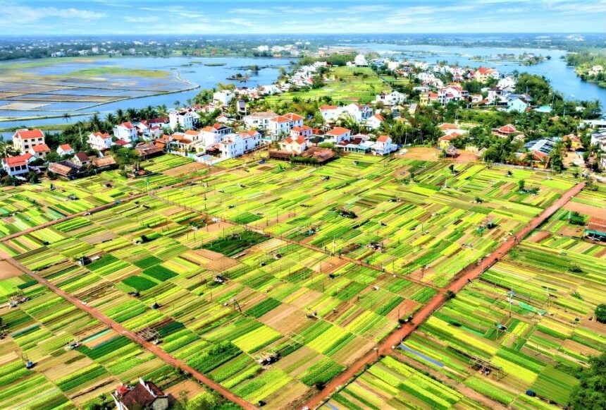 Tra Que Vegetable Village lies in Tra Que Hamlet, Hoi An, Quang Nam Province (Source: Bao Dai Doan Ket)