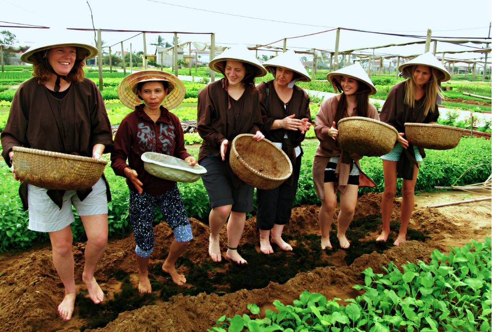 Visitors try traditional farming activities in Tra Que Vegetable Village (Source: Bao Dien Tu Chinh Phu)
