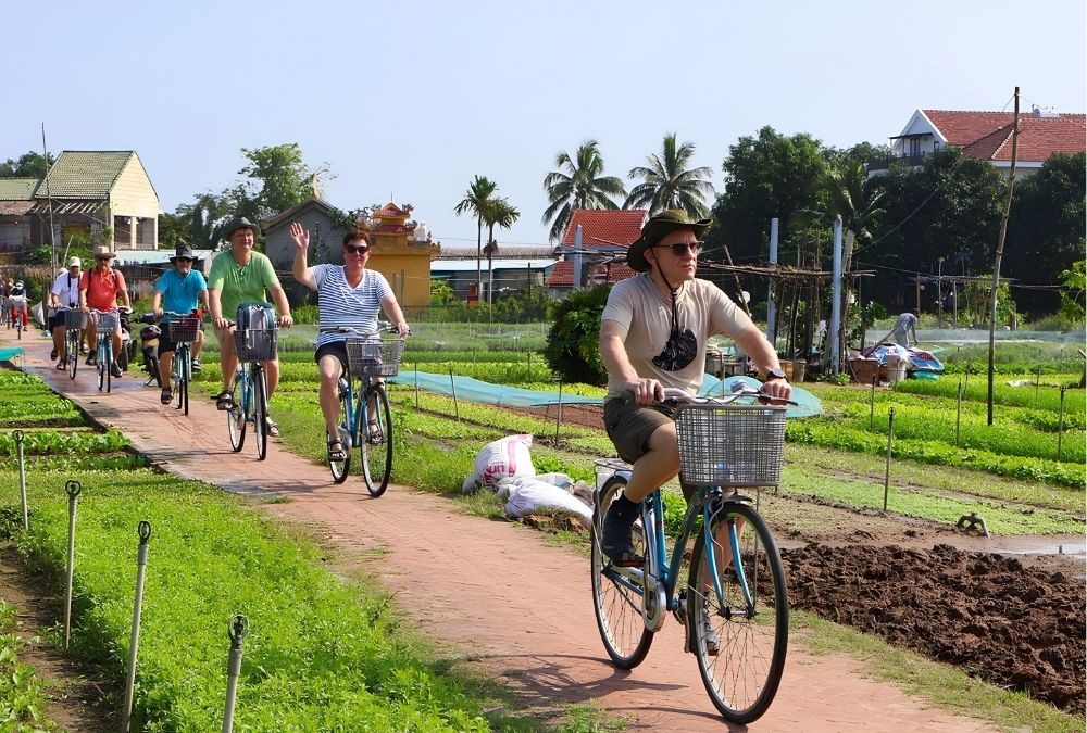 A visit to Tra Que Vegetable Village during a Hoi An trip (Source: Bao Dan Tri)